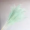 pink white color pampas grass decor dried natural flowers bouquets wedding flowers feather flowers tall 19-22 christmas decor 201201