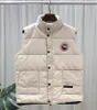 Wholesale Canada NORTH Famous DOWN vests Fashion Coat Pocket Decoration Mens Designer Winter Coats Personality Mens Winter Coat
