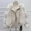 2020 Nowa Jesienna Zima Kobiety Faux Fur Kurtka Zagęścić Ciepłe Sztuczne Futra Skórzana Kurtka Żeńska Parkas Plus Size1