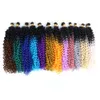 14インチ短いマリーボの水波かぎ針編み髪オンブルキンキーカーリーブレード黒人女性のための合成ジェリー編組BS22