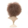 14 pollici afro stravaganti ricci di pizzo sintetico con parrucca anteriore simulazione di capelli umani parrucche perruques de Cheveux humains nzls284144589710