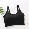 Abbigliamento da palestra Reggiseno sportivo da donna Ragazza push-up Intimo in cotone solido Reggiseni fitness Jogging Corsa Yoga Sport Top1