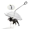雨が歩く犬のひもが付いている伸縮式のハンドルの透明なペット傘を歩いて防水猫用品ペット製品LJ201130