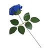 Bouquet de fleurs de roses PE, dessin animé, bulle, matériel de fabrication, bouquet de décoration de mariage
