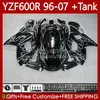 Karosserie + Tank für Yamaha Thundercat YZF600R YZF 600R 600 R 1996 1997 1998 1999 2000 2001 Karosserie 86No.149 YZF-600R 96 02 03 04 05 06 07 YZF600-R 96-2007 Verkleidung mit grauen Flammen