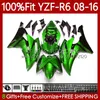 Einspritzverkleidungen für Yamaha YZF-R6 YZF R 6 YZF R6 600 YZF-600 YZFR6 08 09 10 11 12 13 15 16 99No.186 YZF600 2008 2009 2010 2011 2012 2013 2014 2015 2016 OEM-Karosserie Metall grün