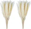 Geschenke für Frauen Pampasgras 30 Stück Dekoration Trockenblumen Natürliches Schilfrohr Phragmites Haufen Communis Dekoration Schachtelhalm Schneebesen Lagurus Ovatus