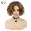 Shanghair 6 Inch Short Curly Synthetic Wigs For Black Women African Hairstyles Natural Brown Hair Wig2283532