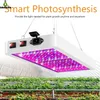 LED Grow Light 1000w 2000W Phytolamp 2835 LED's Chip Phyto Growth Lamp 85-265V Volledige spectrum plant verlichting voor indoor plant