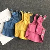 Denim Hondenkleding Huisdierkleding Kleding voor honden Rok Sling Hondenjurk Winter Puppy Huisdierenkleding voor honden Huisdierenkleding Ropa Perro LJ2306Z