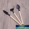 3 pièces ensemble d'outils de jardinage pelle de jardinage petit râteau de jardin et truelle à main Mini outils de jardin intérieur cadeaux