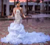 Plus Size Aso Ebi Sukienka ślubna Train Flouncing Ruffles Długie Rękawy Sheer Neck Aplikacje Zroszony Koronki Suknie Ślubne 2022 Vestido de Noiva Robe de Mariage