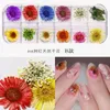 Mix Gedroogde bloemen Natuurlijke bloemenblad Nail Stickers 3D Decals Poolse Manicure Accessoires