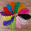 200pcspack 1012 inch Ostrich Feather Party Decoration Plume Craft Supplies Wedding Table Centerpiecesweb celebrity wall Decorat1416828