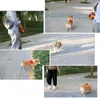 Animaux de compagnie Réfléchissant Rétractable Laisse de chien Extension automatique Pet Walking Lead Cat Traction Corde pour chiens LJ201113
