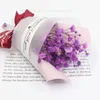 Party Favor Flower Bouquet Natural Fresh Dried Preserved Gypsophila Flowers Real Forever Baby Breath Flower For DIY WLY BH4645