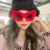 Sunglasses Fashion Plush Glasses Trendy Cat Eyeglasses Frame Punk Handmade Fur Fleece Decorative Mirror Women Men Party Eyewear