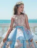 New Sky Blue Ball Gown Girls Pageant Dresses Jewel Lace Appliques Flowers Peplum Kids Formal Prom Toddler First Communion Gowns232O