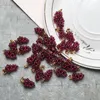 100PCS 15 * 9 milímetros Mini Natural Garnet Crystal Stone Mão Tecidos vinho tinto da uva encantos forma pendant w / 14K banhado a ouro Fecho para Colar Brinco