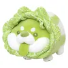 Kapusta Shiba inu pies urocza warzywa wróżka anime pluszowa zabawka puszysta nadziewana roślina miękka lalka kawaii poduszka dziecięca zabawki prezent Z220314