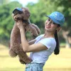 Pet Dog Hat Lover Parent Child Tailup Sun Cap Head Accessories Valentine Baseball Hat Outdoor Travel Sport Pet Caps Sunscreen LJ207135942