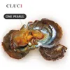 Cluci 30pcs 7-8mm Cultured Oval Freshwater em Oyster Real Natureza Color Pearl Bead Para Jóias de Luxo Fazendo T200507