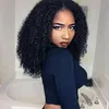 Ombre Synthetic Afro Short Kinky Curly Lace Front Wigs with baby hair Heat Resistant Top Fiber Wigs for Black Women n18