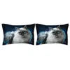 3d djur svart katt sängkläder uppsättning tvilling drottning kung storlek polyester sovrum uppsättning sängkläder duvet täcker set kuddecase sängkläder t200706