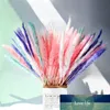 15 sztuk Naturalne Suszone Mała trzcina Pampas Trawa Fałszywe Kwiaty Phragmites Sztuczne rośliny Wedding Flower Bukiet do wystroju domu