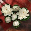weiße lotusblüte
