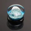 New 1 Pair Jellyfish Glass Ear Plug Gauges Earring Piercing Expander Flesh Tunnel Stretcher Body Jewelry