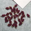 100 stks 15 * 9mm mini natuurlijke granaatkristal steen hand geweven wijn rode druif vorm charms hanger met 14 k vergulde sluiting voor ketting oorbel