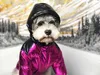Hundkläder Vinter Populär skiddräkt Pet Down Jacket Puffer Cool Standsom Dog Coat Poodle Drop Ship 2 ColorsJK56