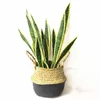 60 cm artificiel Sansevieria trifasciata grande taille plante tropicale de haute qualité cadeau succulent de décoration de maison de décoration exposition C09327144