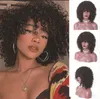 Afro kinky krullend synthetisch zwart pruik simulatie menselijk haar perruques de cheveux humains pelucas de cabello humano pruiken JS707