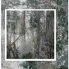 사진 숲 방 배경 벽 종이 살아있는 자연 배경 화면 입체 바탕 화면을 3D 숲을 배경 화면