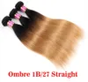 Brazilian Body Wave Two Tone Color Ombre Human Remy Hair Weaves T1B/27 T1B/30 T1B/99J Brown Burgundy Red Double Wefts