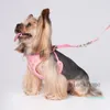 Pet Collar Traction Rope 6 Colors Cat Dog Safety Belt Harness Adjustable Pet Puppy Pup Hound Lead Leash 2 Pieces Sets7229293