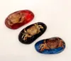 6 PCS Moda llavero real cangrejo escorpión insecto tamaño grande llavero