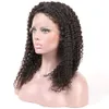 Peruvian Virgin Hair Lace Front Wigs Pre Plucked Hairline Kinky Curly Human Hair Wig 130% Density 8-24 inch