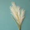 Silke Blomma Vild Reed Branch Phragmites Konstgjorda Växter Bröllopsdekoration Heminredning Tillbehör Partihandel Om 100cm 6 Designs BT696