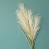 Flor de seda Rama de caña silvestre Phragmites Plantas artificiales Decoración de bodas Suministros de decoración para el hogar Venta al por mayor Aproximadamente 100 cm 6 diseños BT696