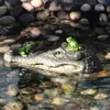 Alligator Head Decoy Pond Float Simulation Doll Garden Crocodile Head Decoration Drives Ducks T200117