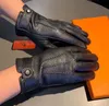 Winter echtes Leder Männer Designer-Handschuhe Mode schwarz dicke warme Handschuhe für Männer hochwertige Vintage männliche Handschuhe mit Designer-Box