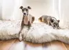 Tapis de chien en fausse fourrure courbe blanc hiver doux et chaud coussin pour animaux de compagnie pour chiens de taille moyenne et grande - couverture de luxe durable 201130
