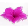 Wholesale a lot 10-12 inch 25-30cm beautiful ostrich feathers for Wedding centerpiece Table centerpieces Party Decoraction supply