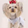Été dentelle tullle mignon robe de princesse Teddy chiot robes de mariée pour chien petits chiens moyens vêtements pour animaux de compagnie Y200922