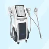 Corps de cryolipolyse Sincall Cryotherapy Machine de congélation de graisse