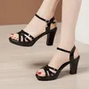 Sandals Small Plus Size 32 33-43 Block Heel Platform Summer 2021 Elegant Office All Math High Heels For Women Black