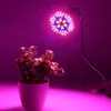 4pcslot Full Spectrum LED Grow Lights 30W 50W 80W th Lamp Phytolamps for Plants Flower Bulbs rium Indoor Box Y200917